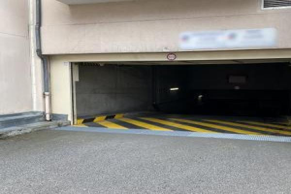 RAMBOUILLET CHASLES (78)