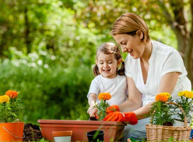 5 fleurs à planter ce printemps pour une saison estivale colorée