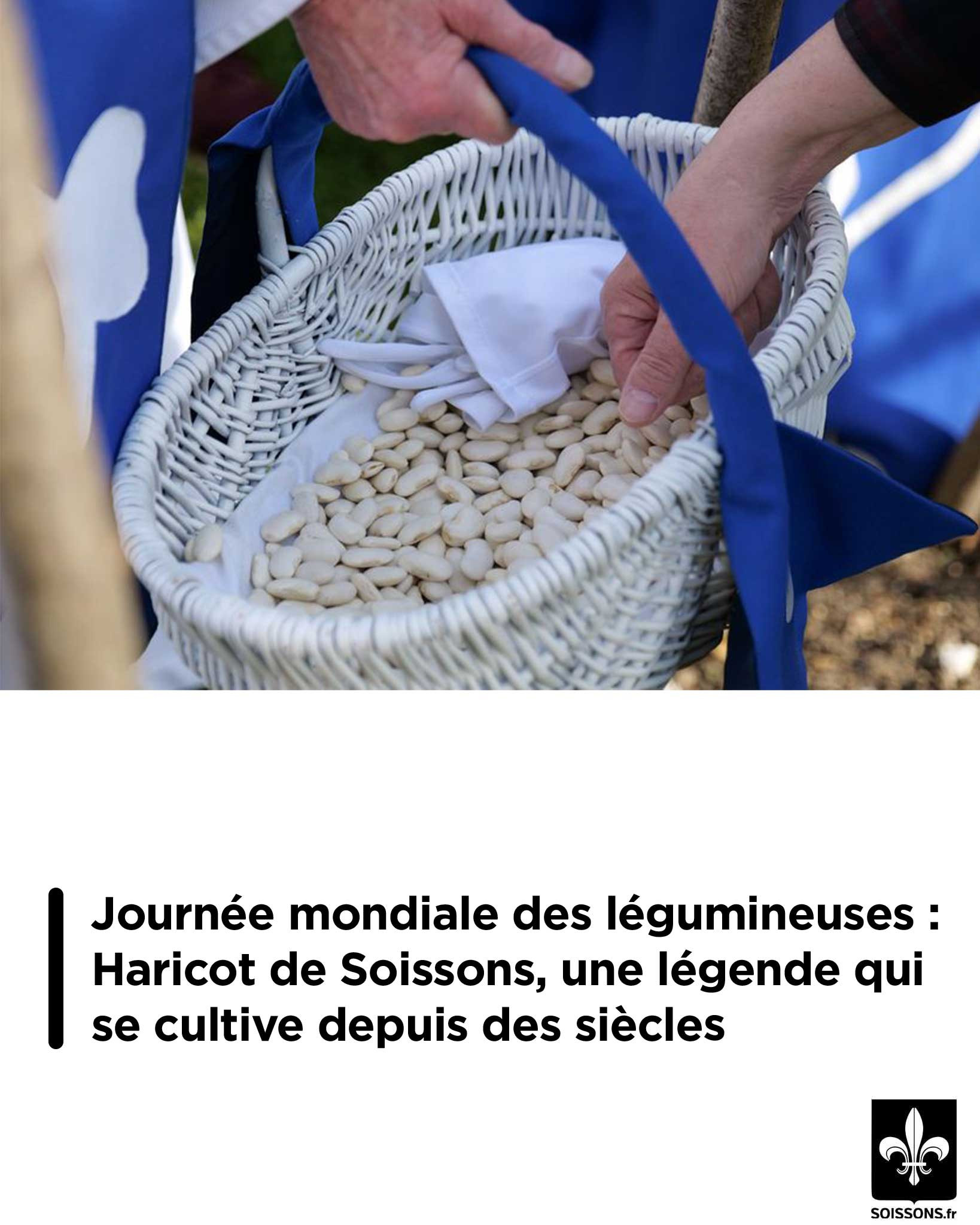 630832505 122168237150870648 6643565231014028226 n