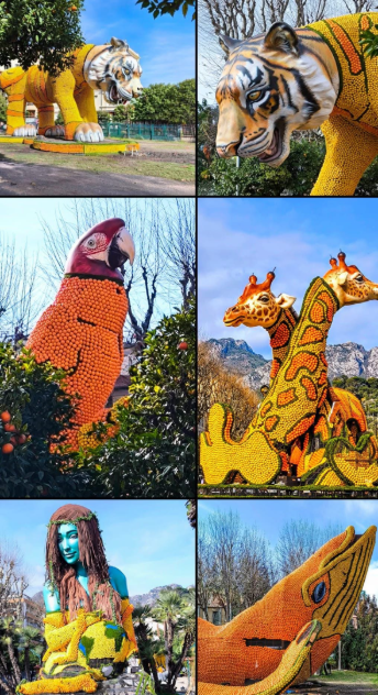 Capture d'écran 2026 02 24 155145